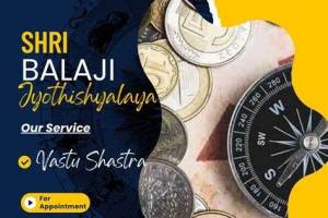 Balaji Astrologer