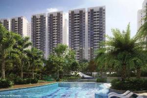 Joy Grand, Mohali