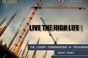 The Vibe Live The High Life, Zirakpur