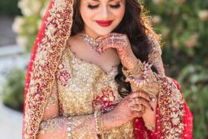 Desi Weddings, New Industrial town, faridabad
