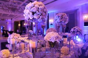 Moments Like This-Best Event Planner in Chandigarh, Panchkula Heights, Panchkula