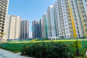 Hero Homes Mohali