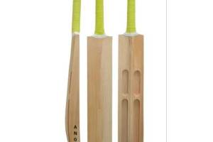 Tecno Bell Sportz India