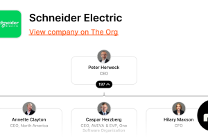 Liontree Hr Consultants Private Limite