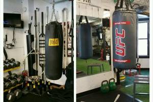 Snf Gym Equipment