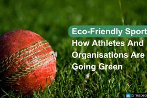 Eco Friendly Sports Organisation Sector 18-B Chandigarh