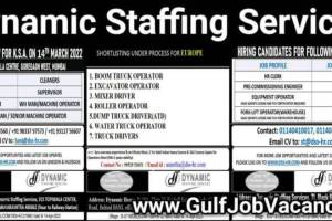 Dynamic Staffing Services Private Limited