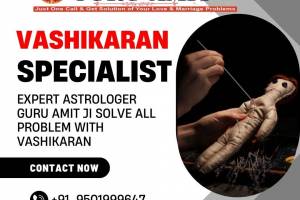 Astrologer Specialist