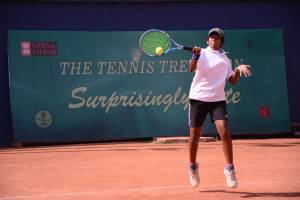 The Tennis Tree