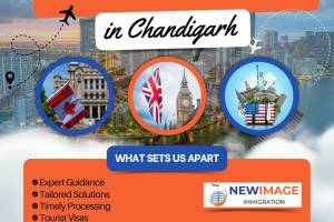 Chandigarh Visa Consultants, VIP road, Zirakpur
