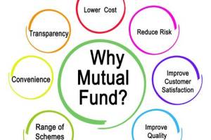 The Financial Express