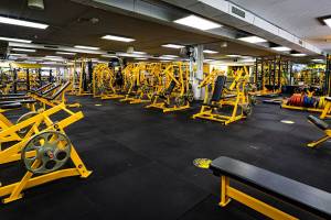 Gold's Gym