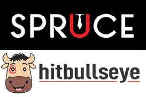 Bulls Eye Knowledge System Pvt. Ltd, Yamunanagar