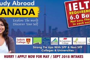 Gaba Immigration Solutions