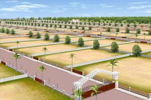 Asham plywood, Parwanoo