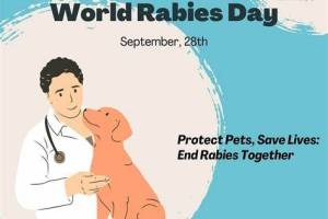 The Healing Touch Pet Clinic & Surgery, Chandigarh
