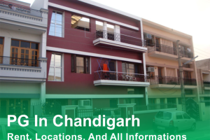 cozy nest, Chandigarh