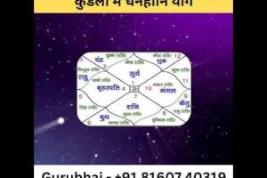 R. Vee Vashisht Astrologer