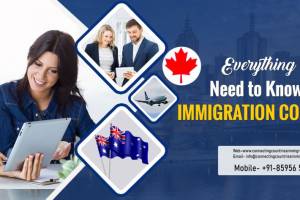 Pioneer Immigration and Education Consultancy Pvt Ltd