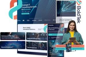 Boldtek India Private Limited