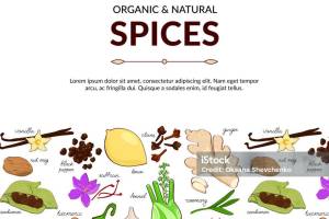 Menjus Spices, NOida