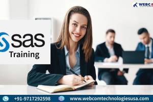 SAS TRAINING INSTITUTE , Gurgaon