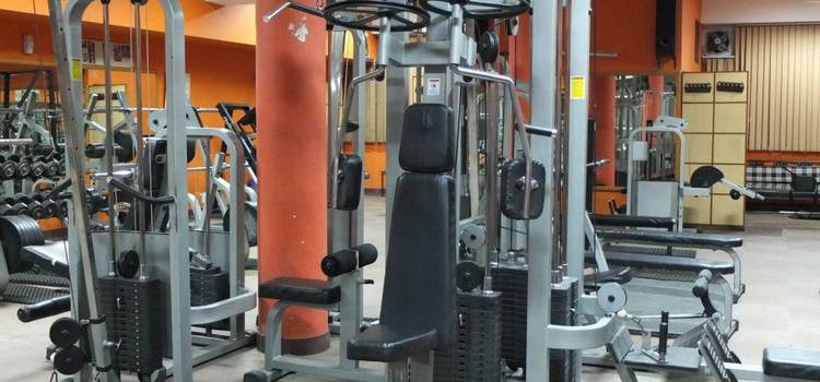 Flexity Gym