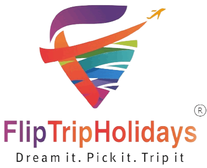Flip Trip, Delhi