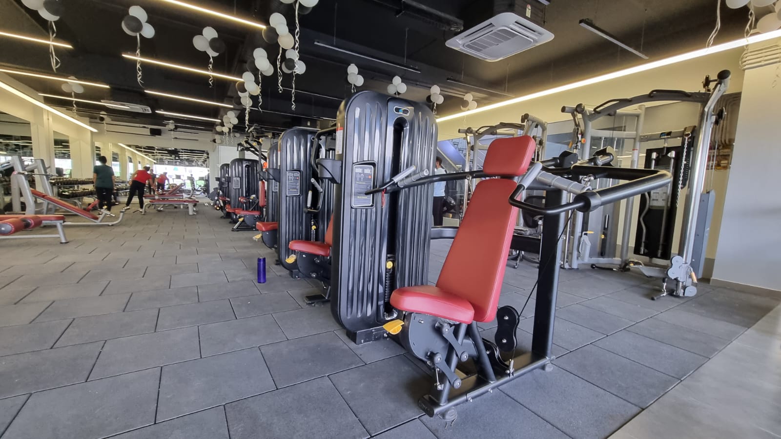 MLC GYM N SPA