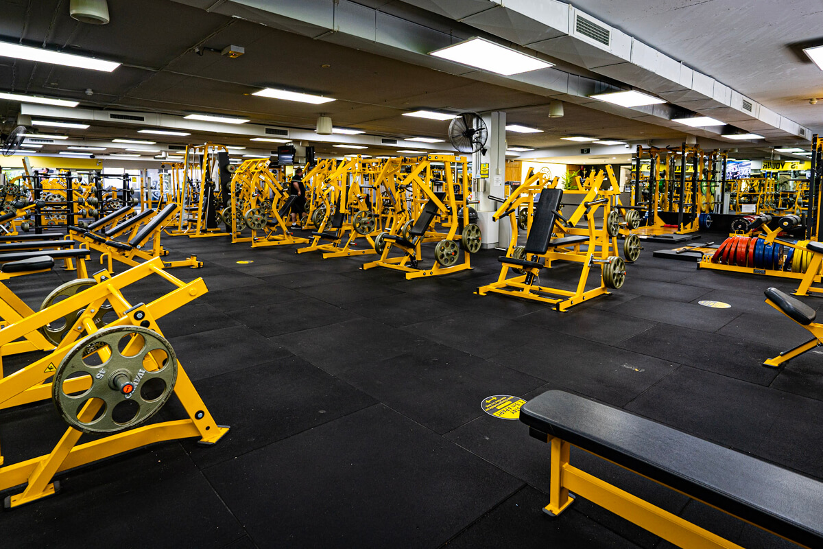 Gold's Gym