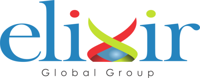Elixir Global Solutions, Sector-20, Panchkula