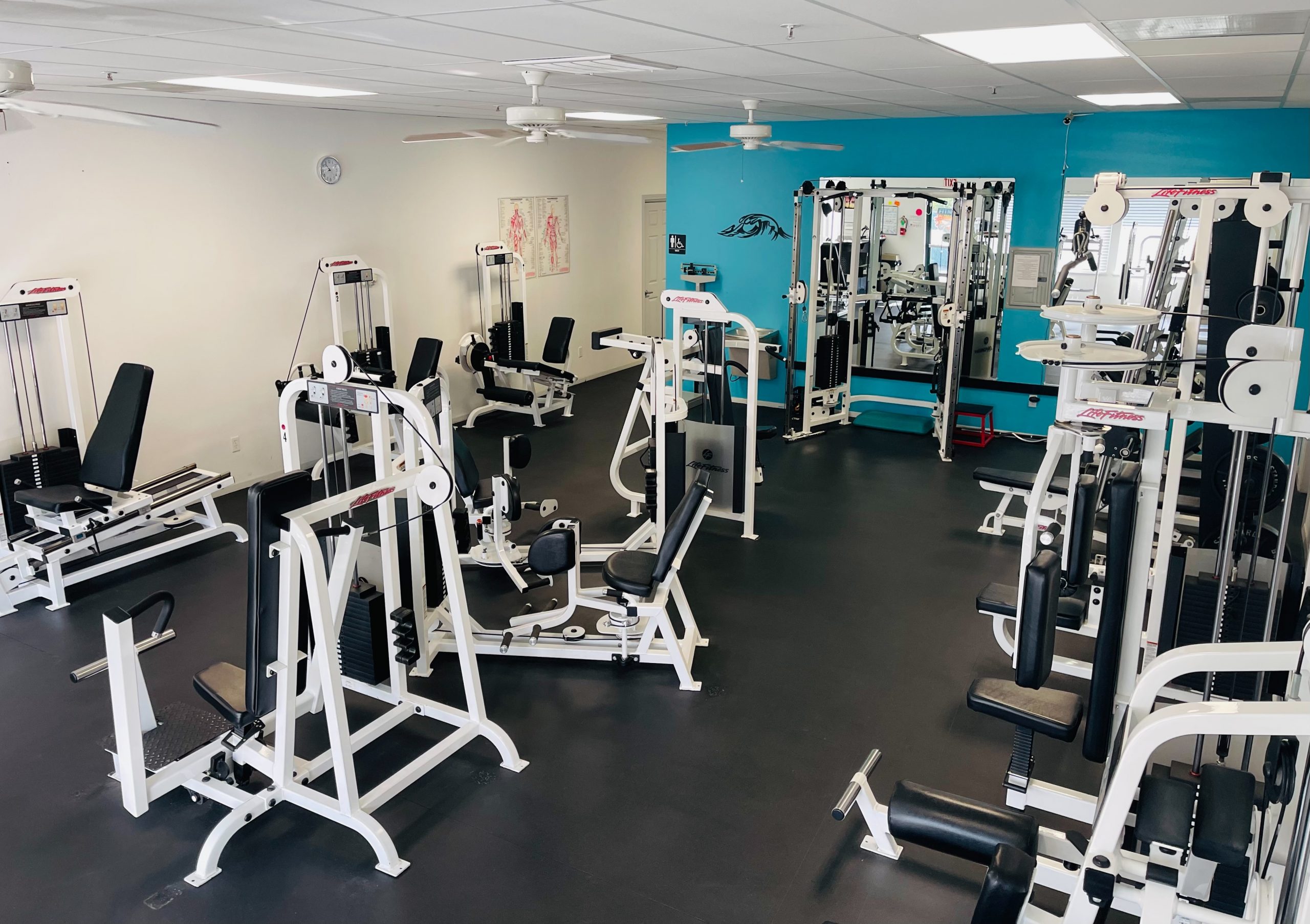 Fitness Paradizz
