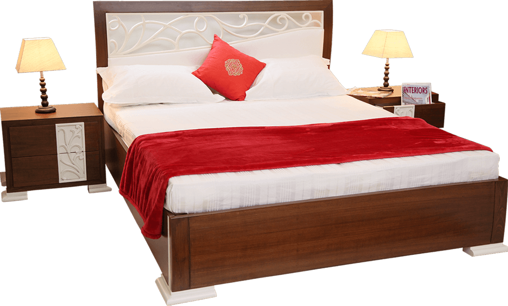 Dream Home Store in Chandigarh logo