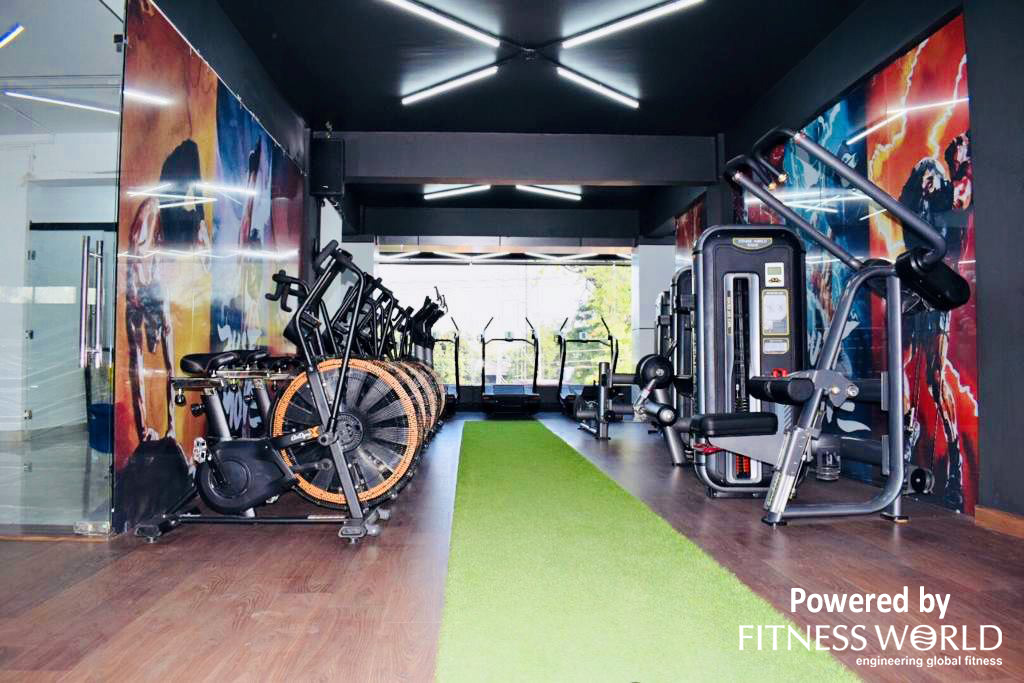 Platinum Fitness&Spa logo