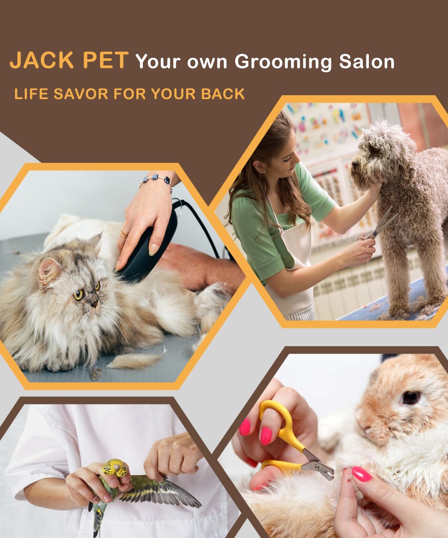 Pet Grooming Home Service, Chandigarh