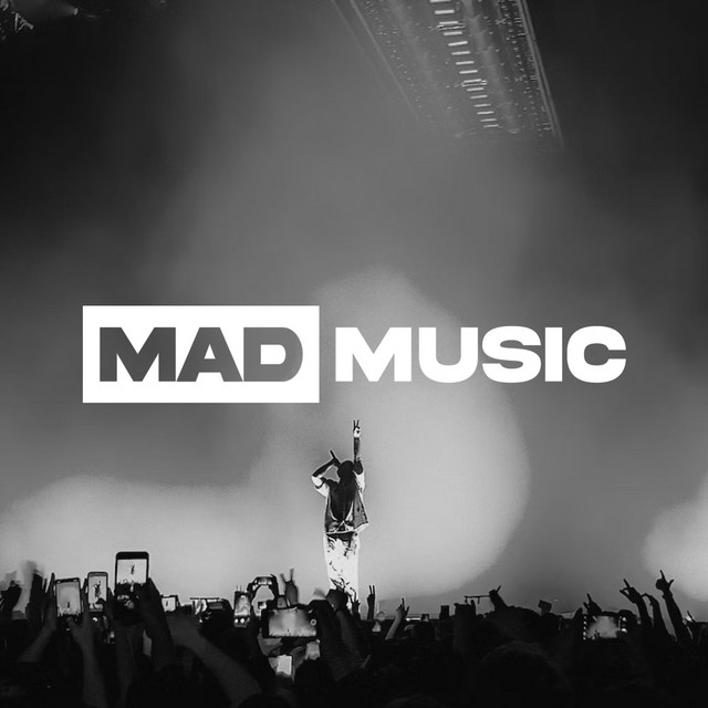 MAD OVER MUSIC ACADEMY