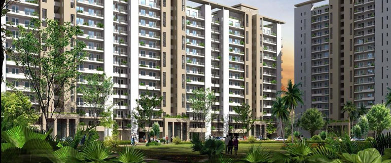 DLF Express Greens, Gurgaon