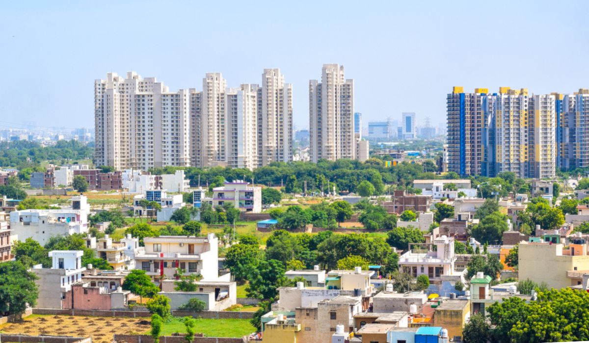 Delhi Punjab Real Estates