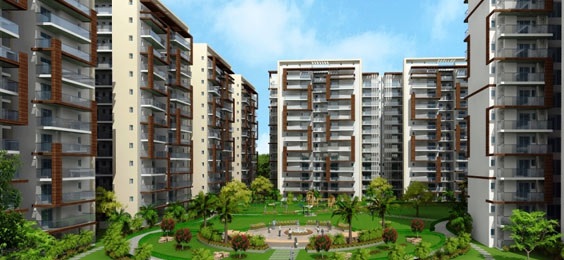 Motia Oasis, Zirakpur
