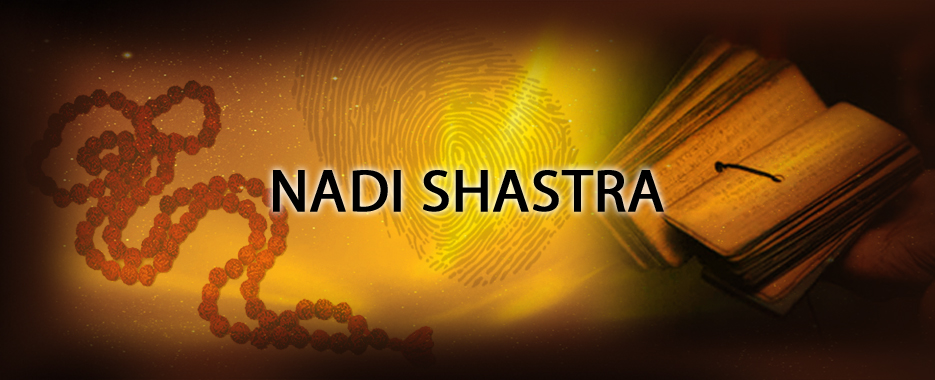 Nadi Shastra logo