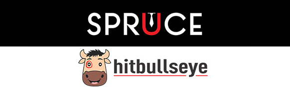 Bulls Eye Knowledge System Pvt. Ltd, Yamunanagar