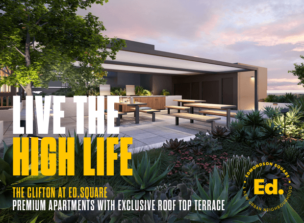 The Vibe Live The High Life, Zirakpur logo