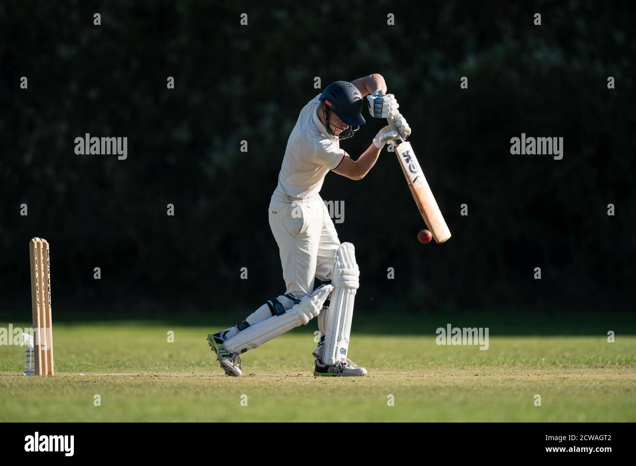 Shot Cricket Bats