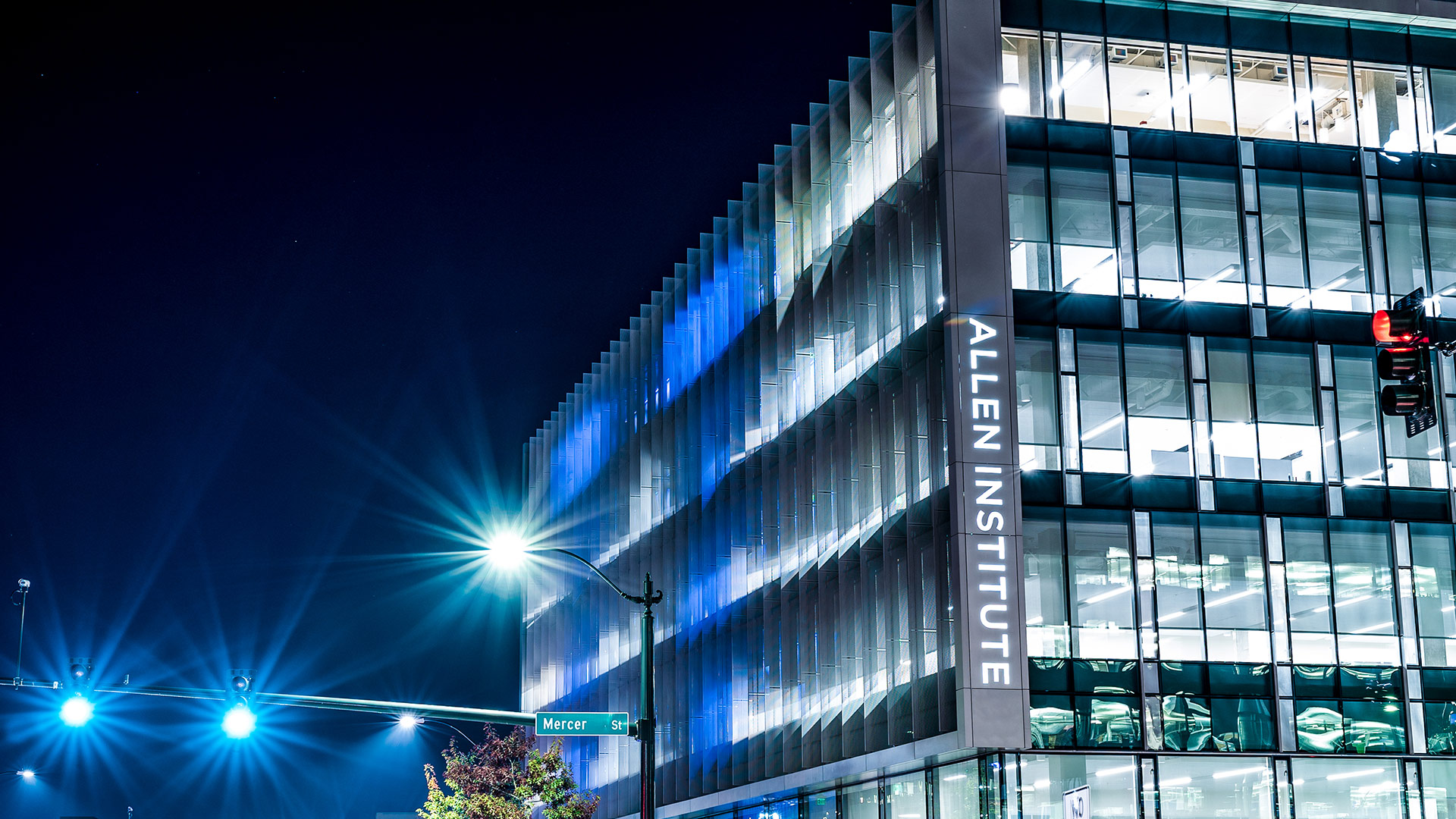 ALLEN Institute logo