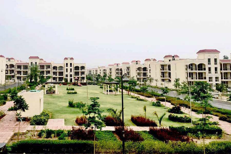 The Valley Gardens