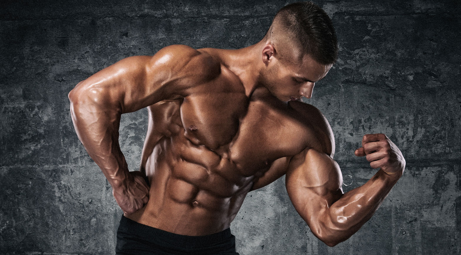 Fit Muscles Gym