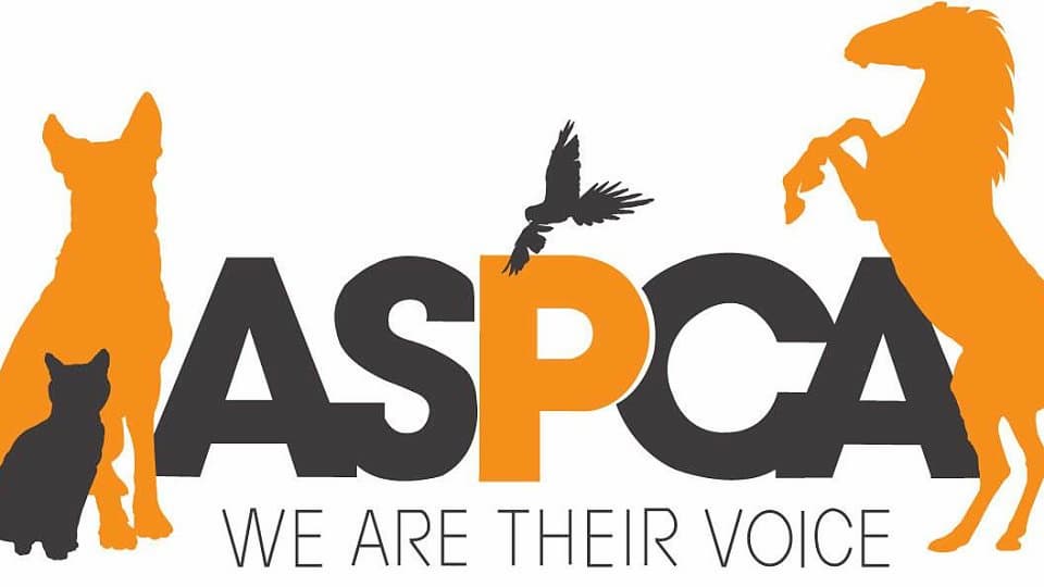 Society for the Prevention of Cruelty to Animals, Chandigarh