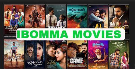Ibomma Movies, South Delhi