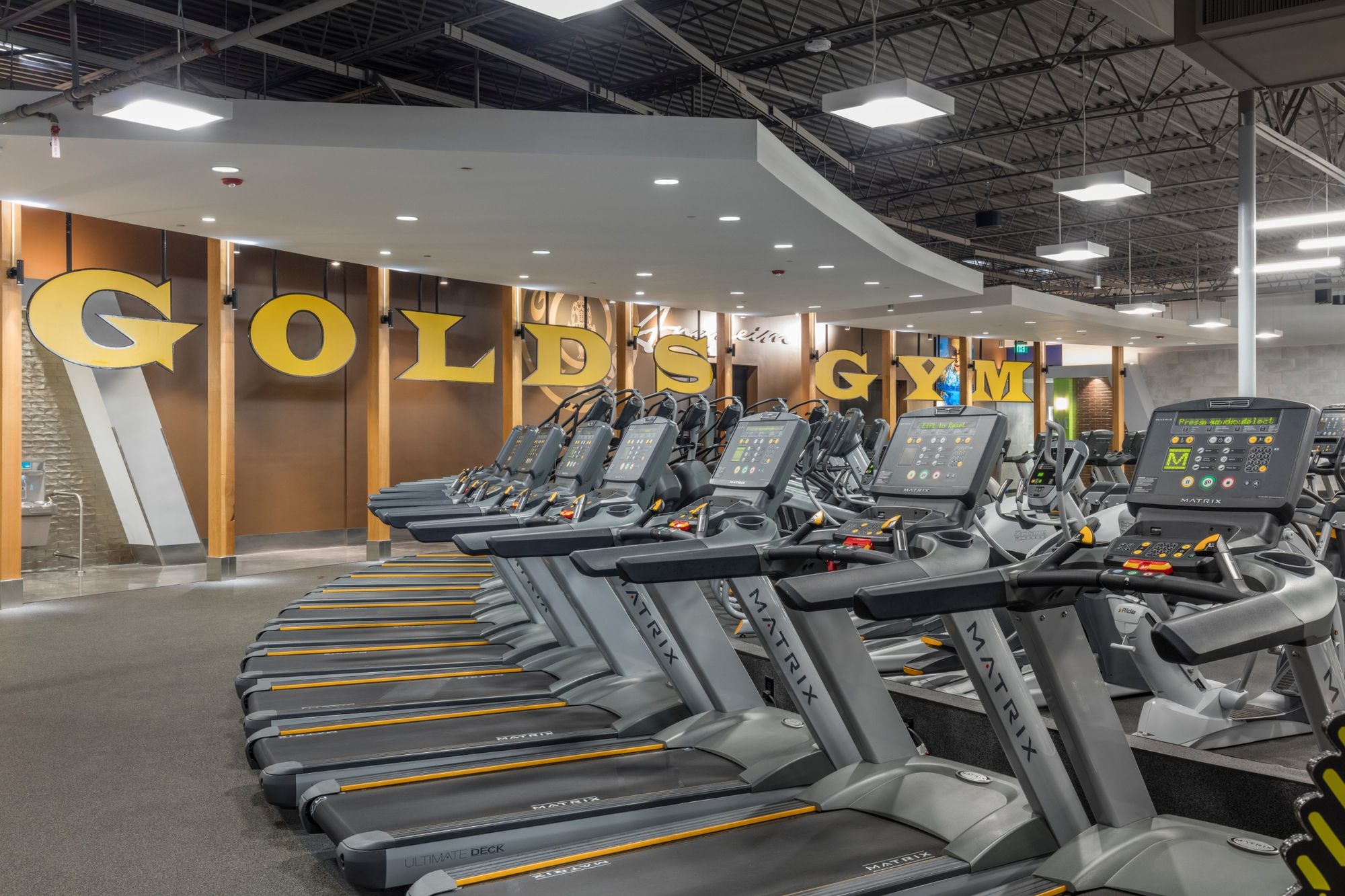 Gold's Gym