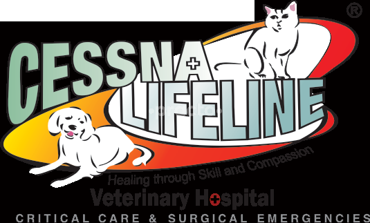 Lifeline Multi-Speciality Pet Clinic, Zirakpur